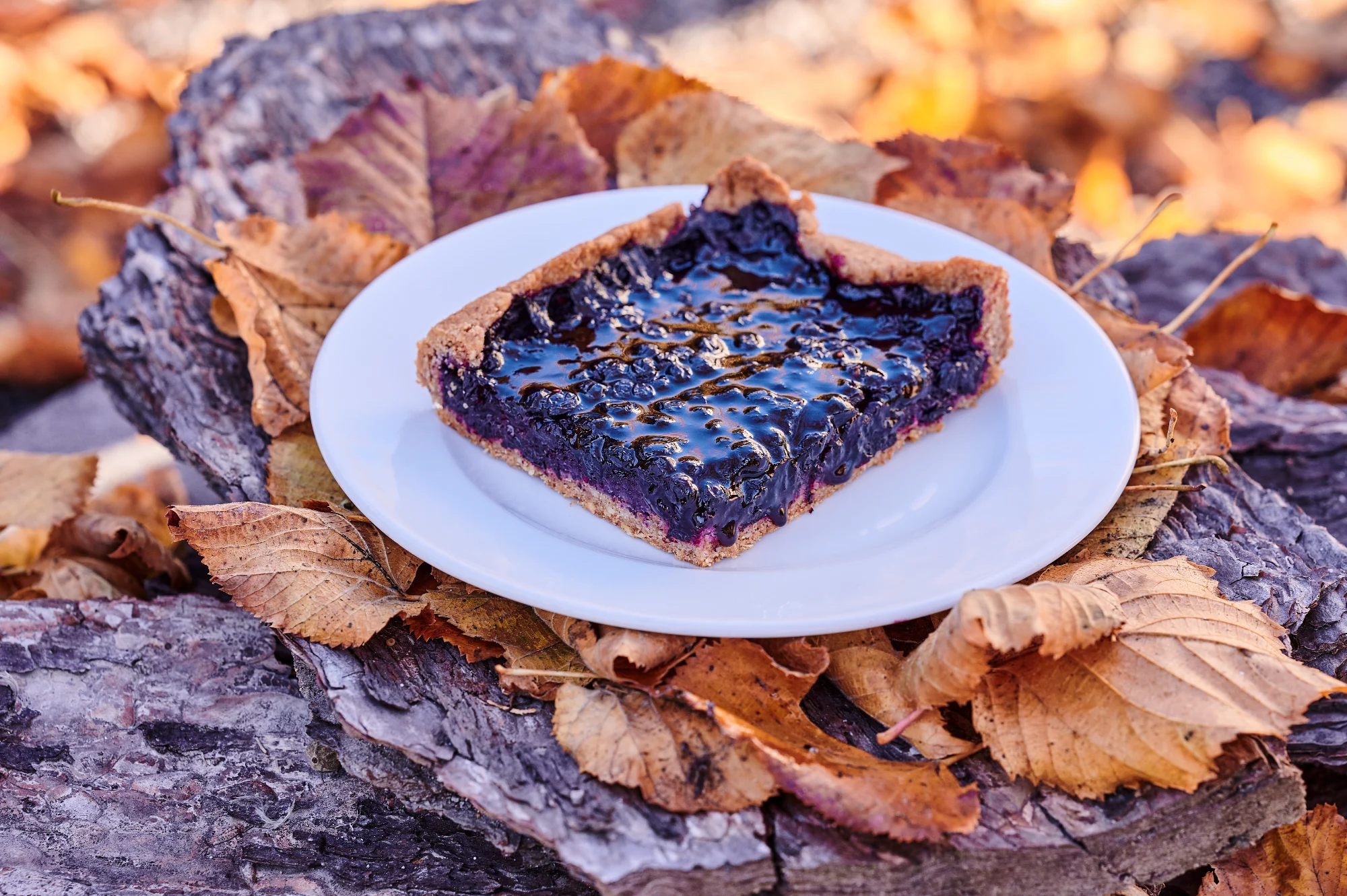 Tarte aux myrtilles